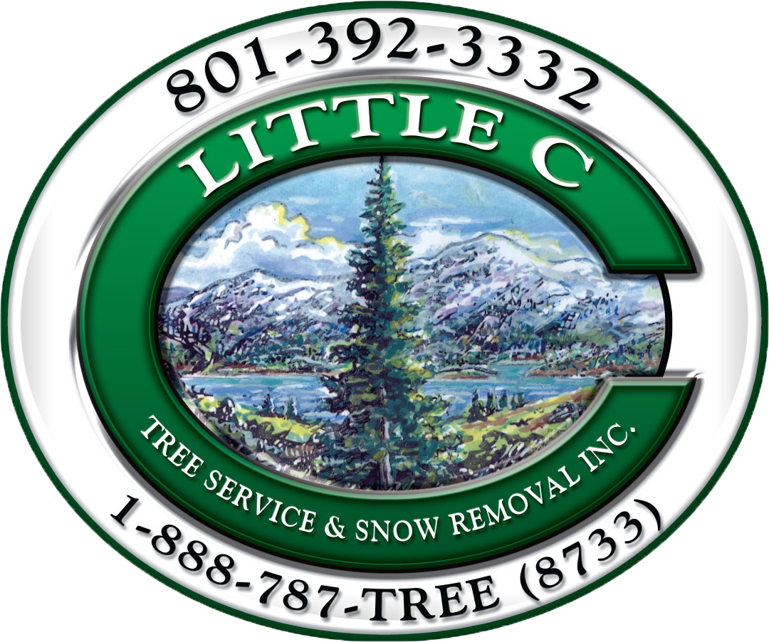 Little C Tree Service